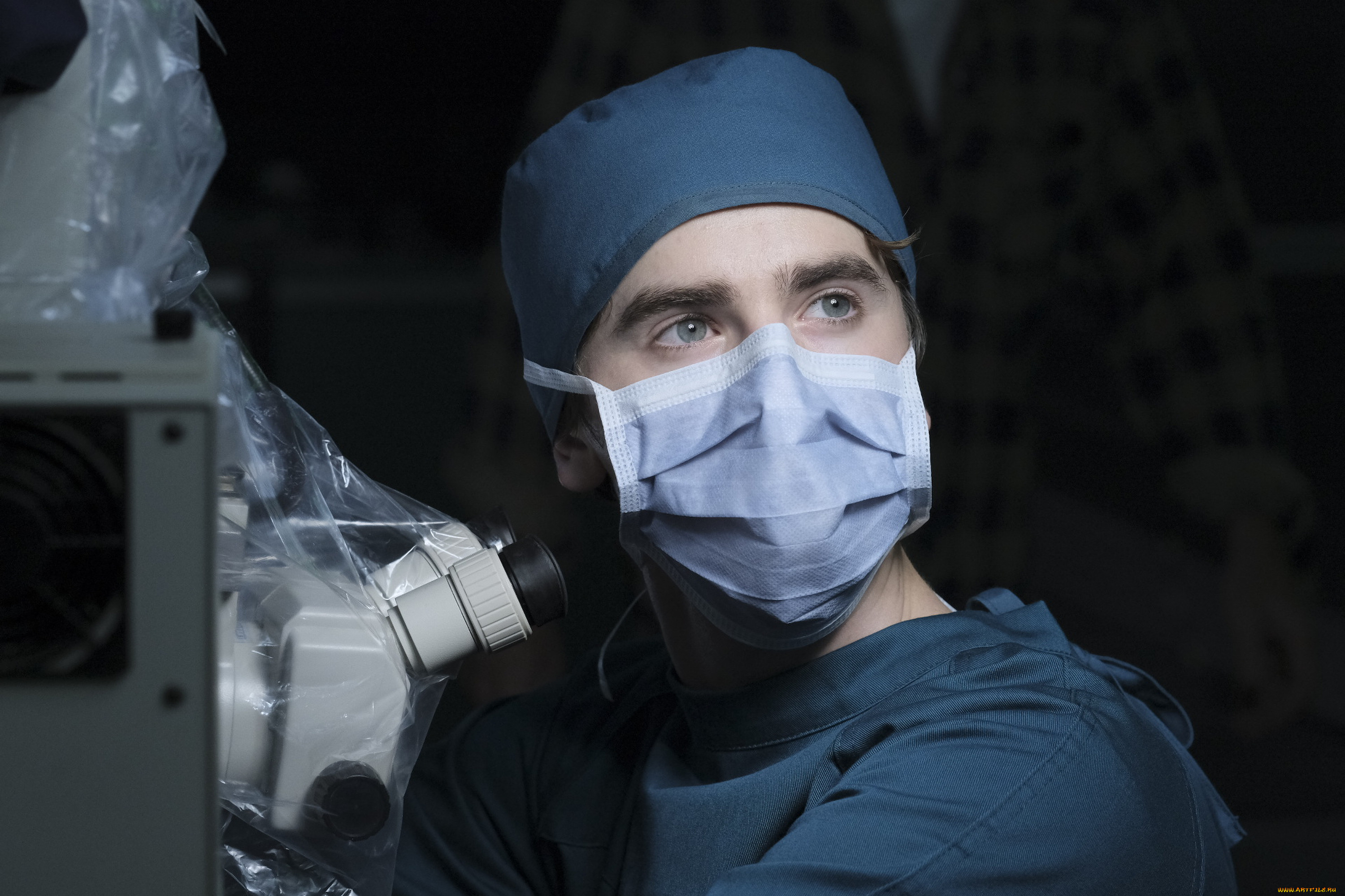  , the good doctor , , the, good, doctor